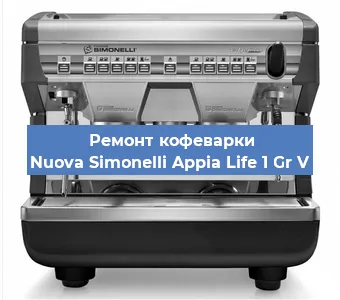 Чистка кофемашины Nuova Simonelli Appia Life 1 Gr V от накипи в Новосибирске